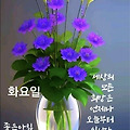 '출석합니다 ' 글에 포함된 이미지