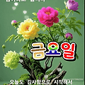 '출석합니다 ' 글에 포함된 이미지
