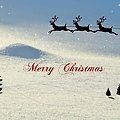 'Merry Chrismas' 글에 포함된 이미지