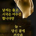 댓글 첨부 이미지