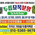 '오늘도화이팅입니다' 글에 포함된 이미지