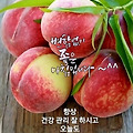 '출석합니다 ' 글에 포함된 이미지