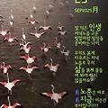 '출석합니다 ' 글에 포함된 이미지