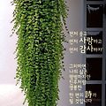 '출석합니다 ' 글에 포함된 이미지