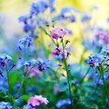 '벌써 7월의 둘째 주,,' 글에 포함된 이미지