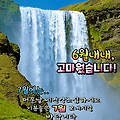 '한해의 절반을 보내고' 글에 포함된 이미지