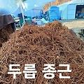 '출석합니다 ' 글에 포함된 이미지