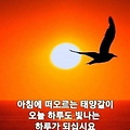 '출석합니다 ' 글에 포함된 이미지