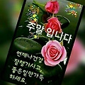 '화창한 주말입니다. ' 글에 포함된 이미지