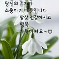 '행복한 하루 되세요 ~' 글에 포함된 이미지