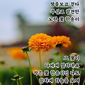'출석합니다 ' 글에 포함된 이미지