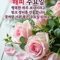 '출석합니다 ' 글에 포함된 이미지