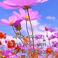 '출석합니다 ' 글에 포함된 이미지