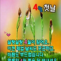 '4월첫날! 봄기운 듬뿍' 글에 포함된 이미지