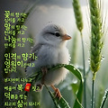 '출석합니다 ' 글에 포함된 이미지