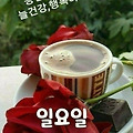 '출석합니다 ' 글에 포함된 이미지