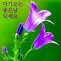 '굿모닝요~^^*☕미소와' 글에 포함된 이미지