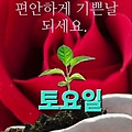 '출석합니다 ' 글에 포함된 이미지