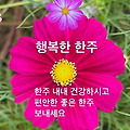 '출석합니다 ' 글에 포함된 이미지