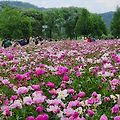'출석합니다~' 글에 포함된 이미지