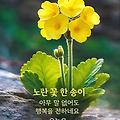 '출석합니다 ' 글에 포함된 이미지