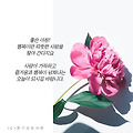 '출석합니다 ' 글에 포함된 이미지