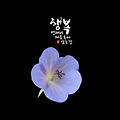 '출석합니다 ' 글에 포함된 이미지