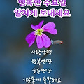 '출석합니다 ' 글에 포함된 이미지
