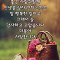'출석합니다 ' 글에 포함된 이미지