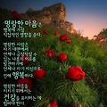 '출석합니다 ' 글에 포함된 이미지
