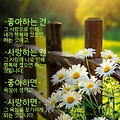 '출석합니다 ' 글에 포함된 이미지