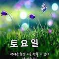 '출석합니다 ' 글에 포함된 이미지