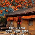 '출석합니다 ' 글에 포함된 이미지