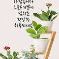 '출석합니다 ' 글에 포함된 이미지
