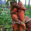 '주말 잘보내세요.' 글에 포함된 이미지