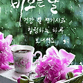 '출석합니다 ' 글에 포함된 이미지
