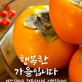'출석합니다 ' 글에 포함된 이미지