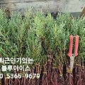 '새해 6일차입니다복많' 글에 포함된 이미지