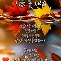 '가을이 초겨울에 떠밀' 글에 포함된 이미지