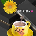 '출석합니다 ' 글에 포함된 이미지
