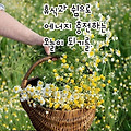 '출석합니다 ' 글에 포함된 이미지