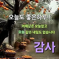 '출석합니다 ' 글에 포함된 이미지