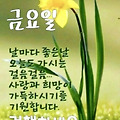 '출석합니다 ' 글에 포함된 이미지