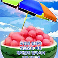 '출석합니다 ' 글에 포함된 이미지