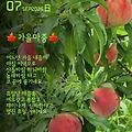 '출석합니다 ' 글에 포함된 이미지