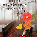 '오늘도 새로운 아침이' 글에 포함된 이미지
