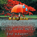 '날씨가 풀려서 그런지' 글에 포함된 이미지