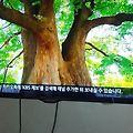 '쓰게다녀감이다' 글에 포함된 이미지