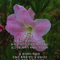 '불행하다고 말하면 불' 글에 포함된 이미지