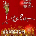 '불금!! 봄기운이 막바' 글에 포함된 이미지